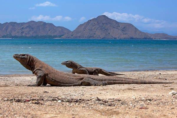 Komodo Islands from Lombok